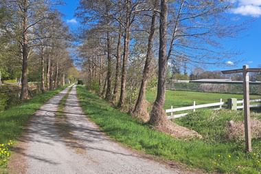 Schotterweg gesäumt von hohen Bäumen und weißem Holzzaun rechts, grünes Gras und gelbe Wildblumen, blauer Himmel mit Wolken bei Bad Bederkesa.