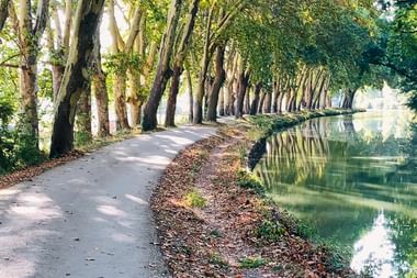 Urlaub am Canal du Midi