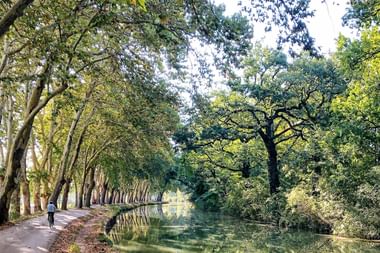 Ein Radfahrer fährt auf einem baumgesäumten Weg entlang des Canal du Midi in Frankreich. Hohe Platanen bilden ein natürliches Dach über dem Kanal.