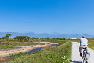 Radfahrer mit Packtaschen auf asphaltierter Straße durch Terschelling-Landschaft mit Wasserkanälen, grüner Vegetation und blauem Himmel.
