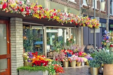 Lebhafter Blumenladen in Goes mit bunten Blumen vor dem Geschäft. Die Fassade zeigt hängende Blumendekorationen und verschiedene Sträuße.