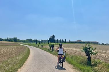 Radfahrer mit Tourenrad auf asphaltierter Landstraße durch landwirtschaftliche Felder. Zypressen säumen den Weg unter blauem Himmel auf der Alpe-Adria-Route.