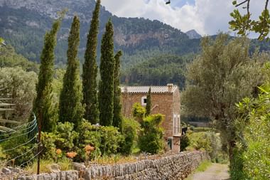 Mediterrane Landschaft auf Mallorca mit hohen Zypressen, einem Steinhaus mit rotem Dach und Bergen im Hintergrund unter bewölktem Himmel.