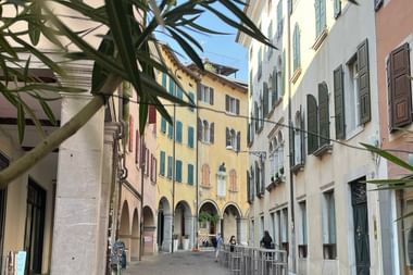 Enge Straße in Udine mit bunten historischen Gebäuden mit Arkaden. Olivenbäume rahmen die Fußgängerzone ein.