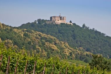 Radurlaub Pfalz Sternfahrt