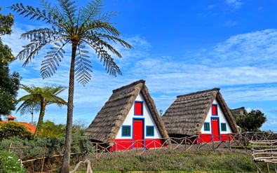 Traditionelle Hütten neben Palmen auf Madeira