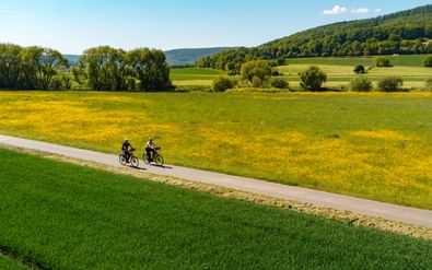Zwei Radfahrer fahren auf einem asphaltierten Weg durch die hügelige Landschaft des Weserberglandes mit grünen Feldern, gelben Blumenwiesen und bewaldeten Hügeln.