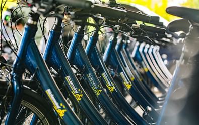 Reihe blauer Leihfahrräder mit gelbem Rückenwind-Branding in einer überdachten Lagerhalle mit natürlichem Licht.