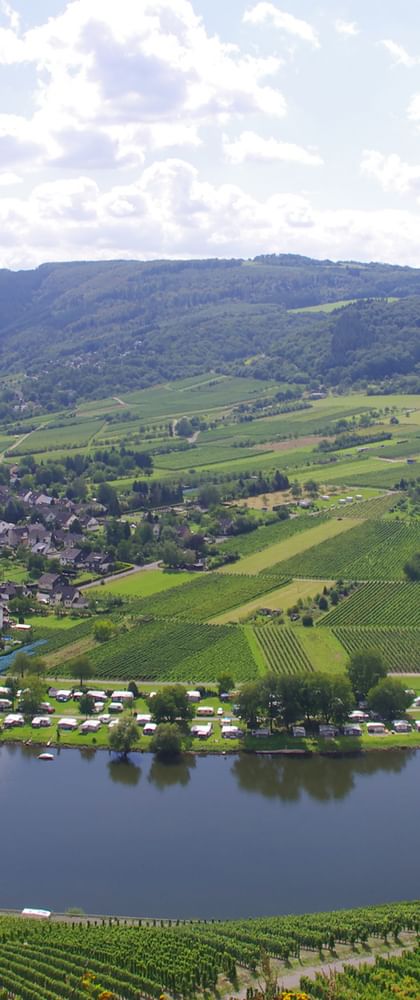Bike Tour Mosel
