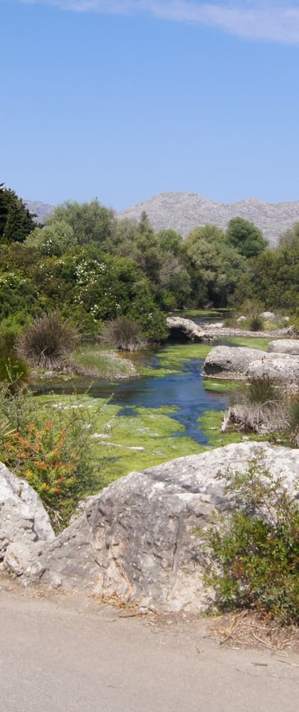 Radurlaub Mallorca