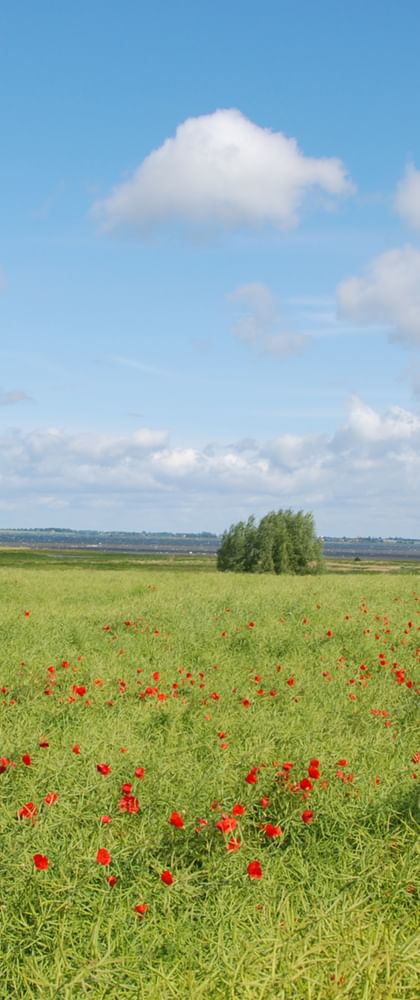Ostseekuesten-Radweg