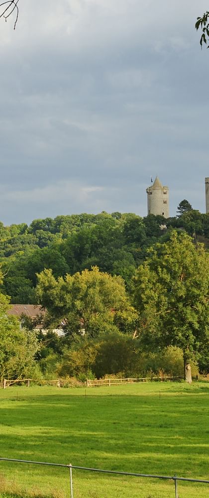 Radurlaub Weimar