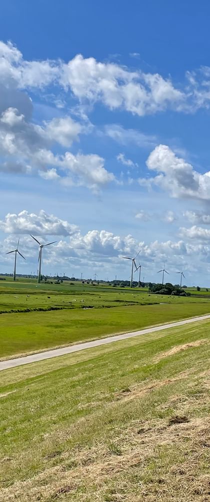 Zwei Radfahrer auf einem asphaltierten Weg entlang eines grasbewachsenen Deiches in Ostfriesland. Windräder in der Ferne unter blauem Himmel.