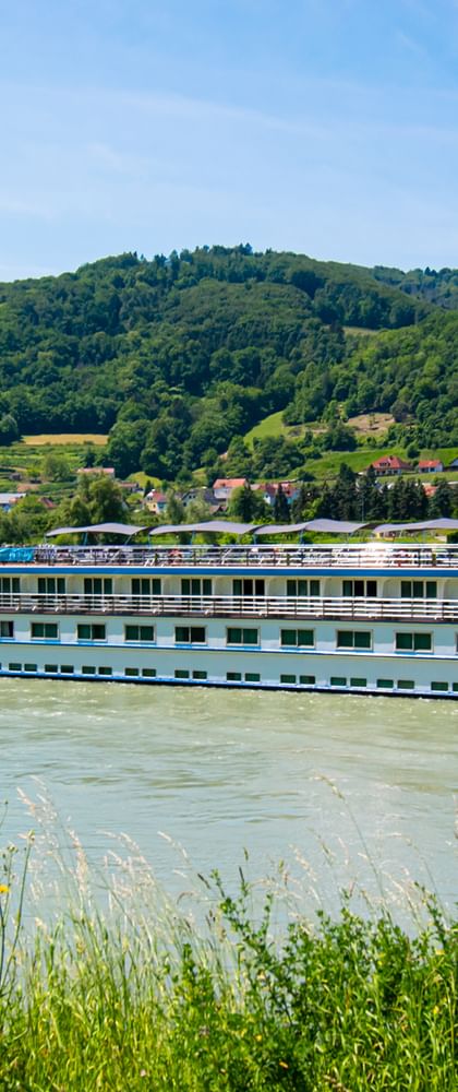 MS Swiss Crown