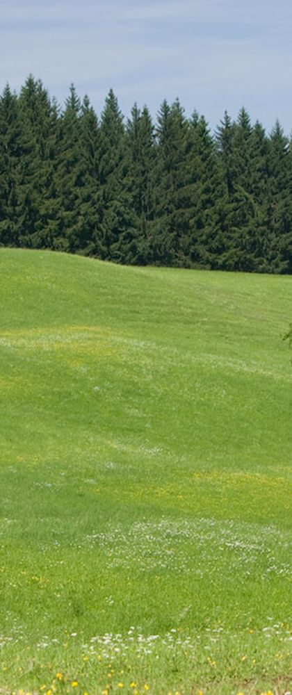 Radurlaub Österreich