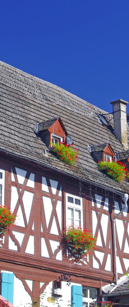 Radurlaub am Rhein-Radweg