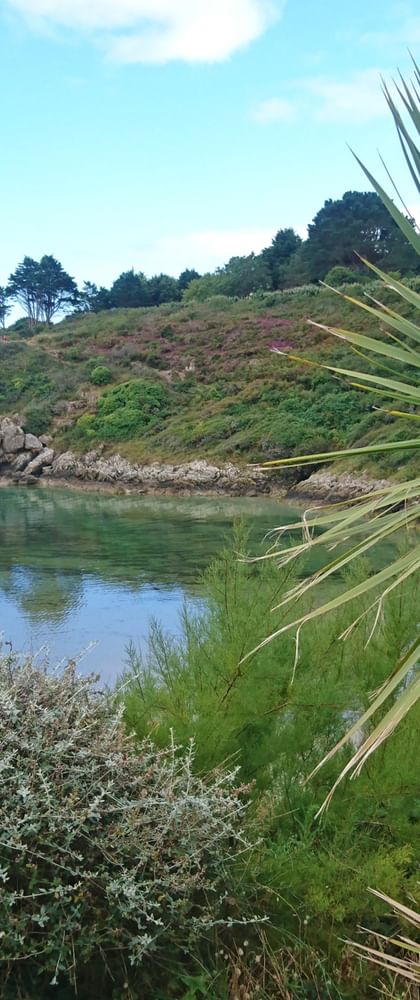 Große Palmwedel rahmen eine malerische Küstenansicht mit Sandstrand, felsigen Klippen und ruhigem blauen Wasser ein. Menschen sind am Strand sichtbar.