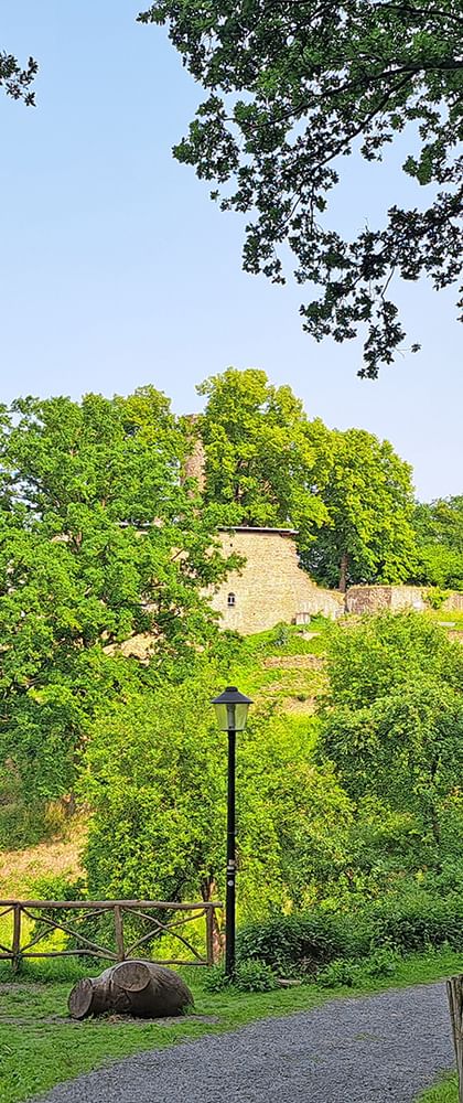 Weg zur Burgruine Blankenberg auf einem grünen Hügel, eingerahmt von Bäumen. Eine Holzbank und ein Zaun säumen den Weg unter klarem Himmel.