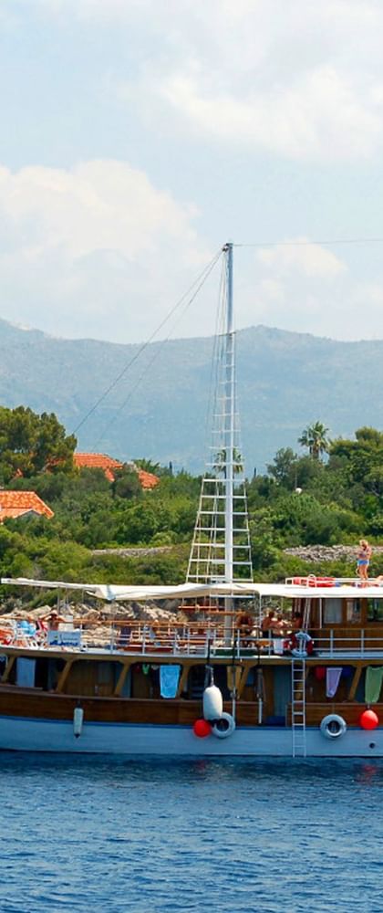 Sailing ship Aneta