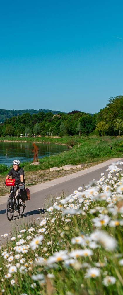 Two cyclists on paved path along Weser river near Höxter. White daisies bloom in foreground, church spires visible in distance under blue sky.