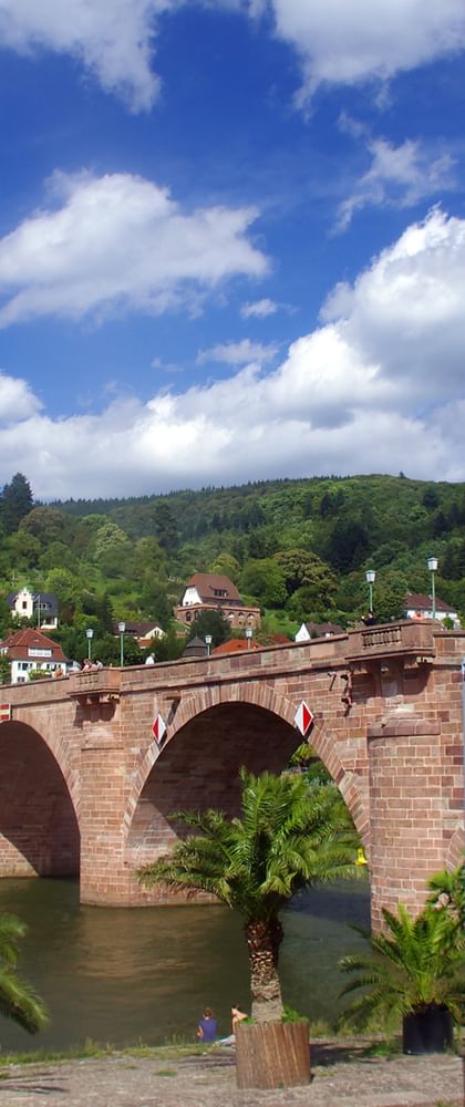 Bike Tour Rhine and Neckar