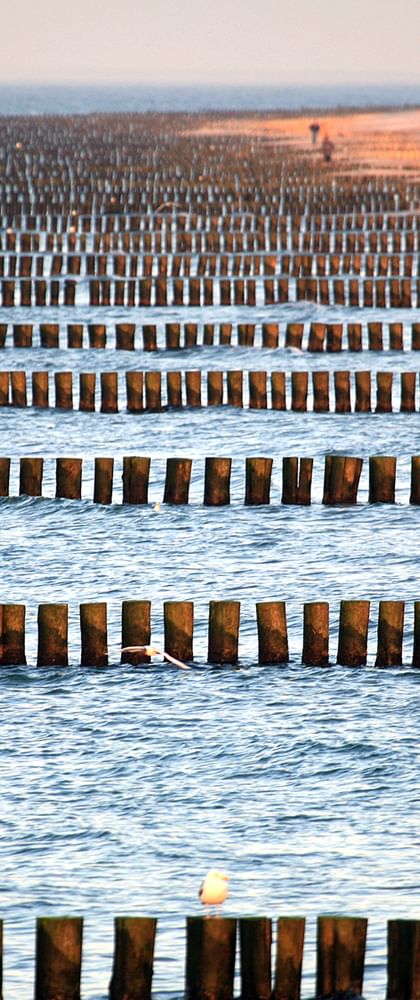 Radreise Ostsee