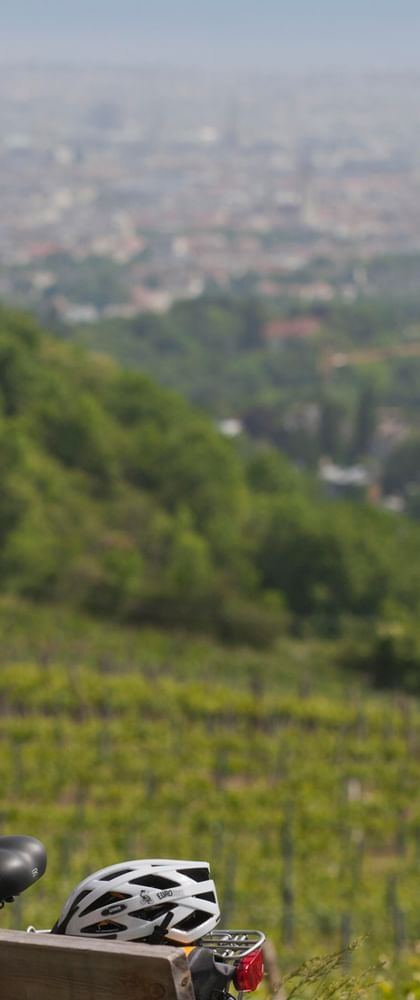 Radreise Österreich