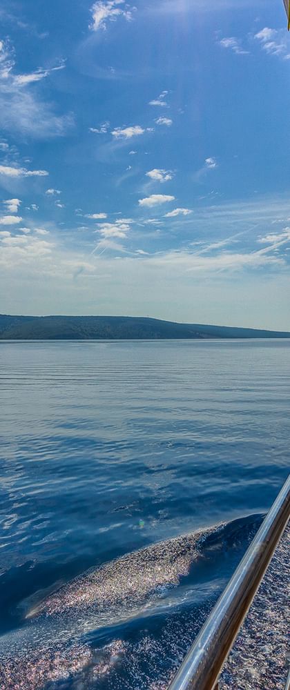 Blick vom Deck der MY Linda mit Holzreling und Kabinenwand, ruhiges blaues Wasser und grüne kroatische Küste unter blauem Himmel.