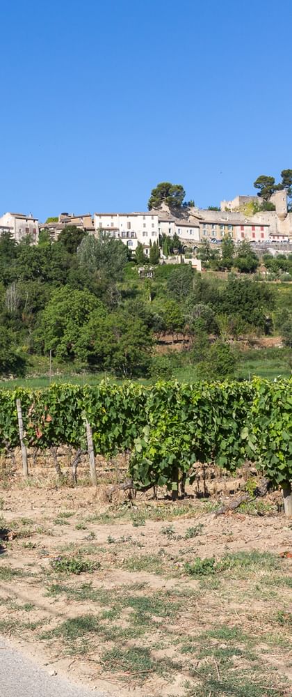 Radurlaub Provence