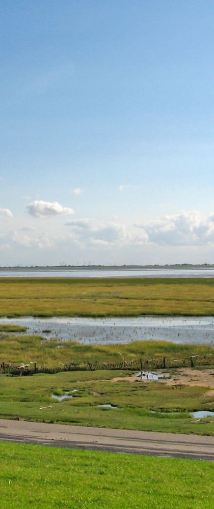 Ostfriesland Sternfahrt