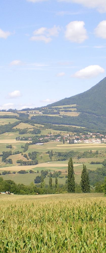 Radreise Rhone-Radweg