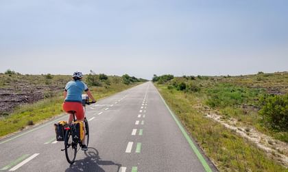 Radfahrer mit Packtaschen auf leerer Asphaltstraße durch spärliche Vegetation und niedrige Sträucher im Douro-Tal, Portugal.