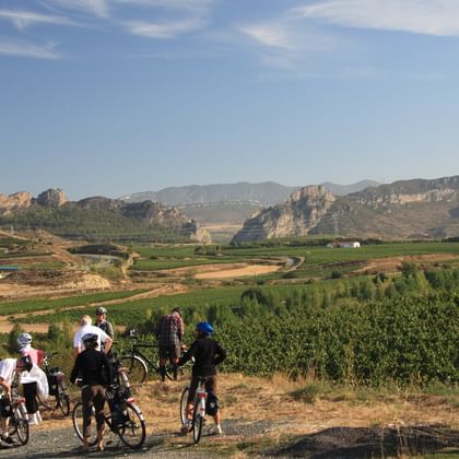 Radreisen Rioja