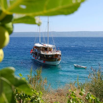 Sailing ship Aneta