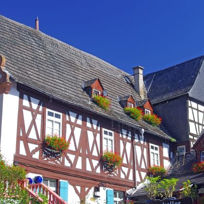 Bike Tour Rhine