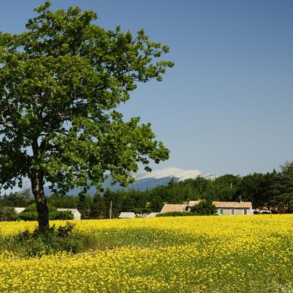 Radreise Provence