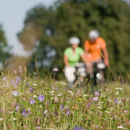 Zwei Radfahrer in bunter Kleidung fahren durch eine bunte Wildblumenwiese mit lila und gelben Blüten. Bäume sind im Hintergrund sichtbar.