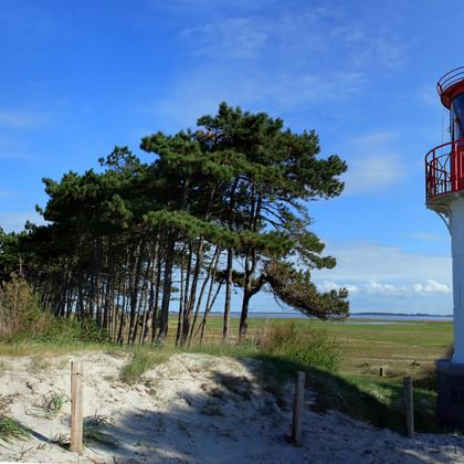 Radreise Ostseeküste