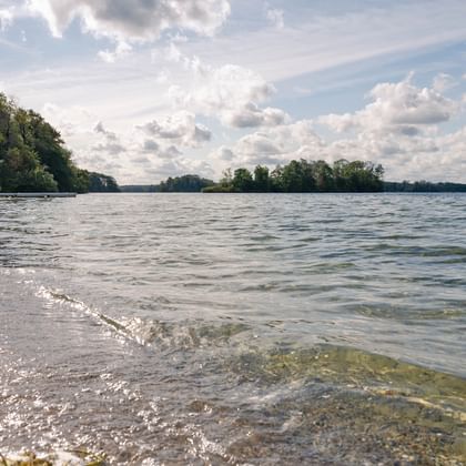 Sandstrand in Travemünde mit sanften Wellen am Ufer. Rote und weiße Boote liegen am Strand, dichter Wald säumt das Ufer.