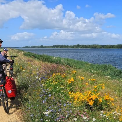 Radfahrer mit roten Taschen auf Weg am IJsselmeer. Bunte Wildblumen blühen am Ufer unter blauem Himmel mit weißen Wolken.