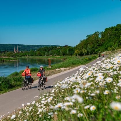 Zwei Radfahrer auf befestigtem Weg entlang der Weser bei Höxter. Weiße Gänseblümchen blühen im Vordergrund, Kirchtürme in der Ferne.