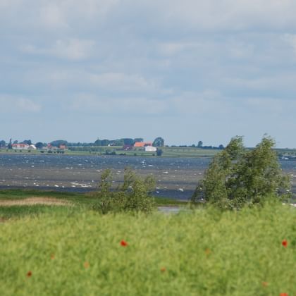 Bike Tour Baltic Coast