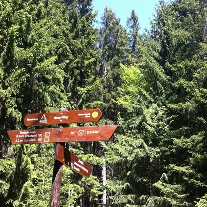 Radurlaub Harz