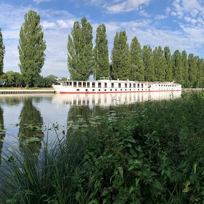 Weißes Flusskreuzfahrtschiff MS Florentina am ruhigen Kanal mit hohen Pappeln im Hintergrund und grüner Vegetation im Vordergrund.