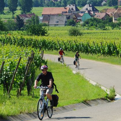 Radreise Elsass