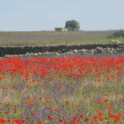 Radurlaub Extremadura