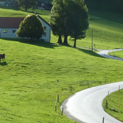 Radreisen Schweiz