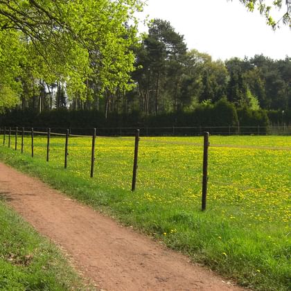 Radreisen Muensterland