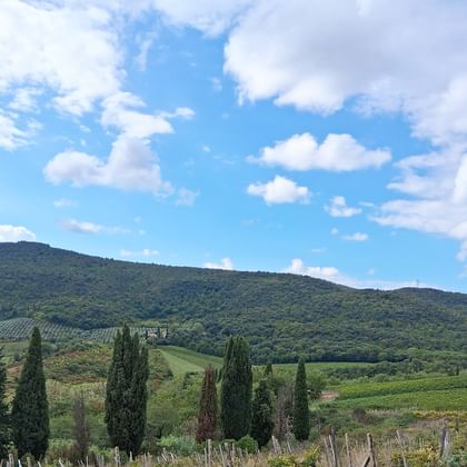 Sanfte grüne Hügel der Toskana mit hohen dunklen Zypressen im Vordergrund und bewaldeten Bergen unter blauem Himmel mit weißen Wolken.