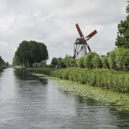 Weiße Windmühle mit roten Flügeln neben einem von Bäumen gesäumten Kanal in Belgien. Grüne Vegetation wächst am Ufer unter bewölktem Himmel.